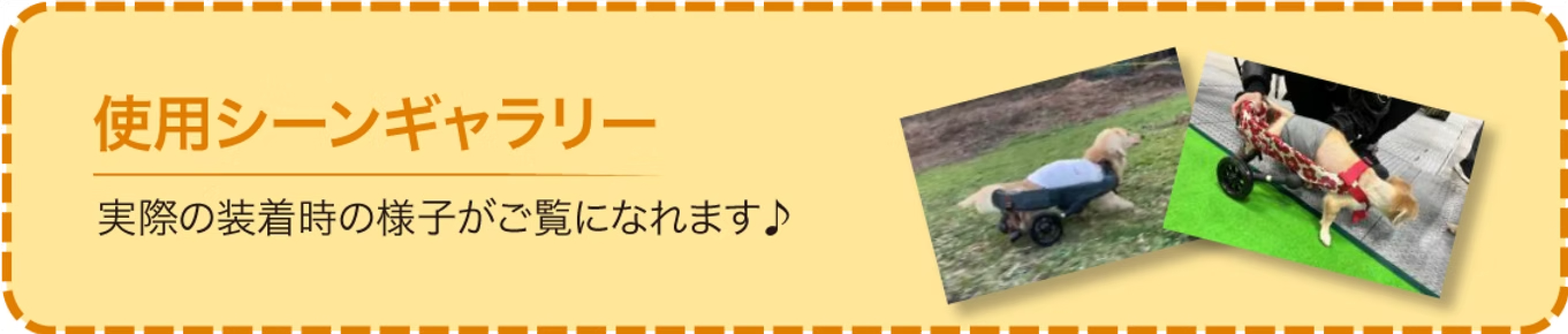 使用シーンギャラリー