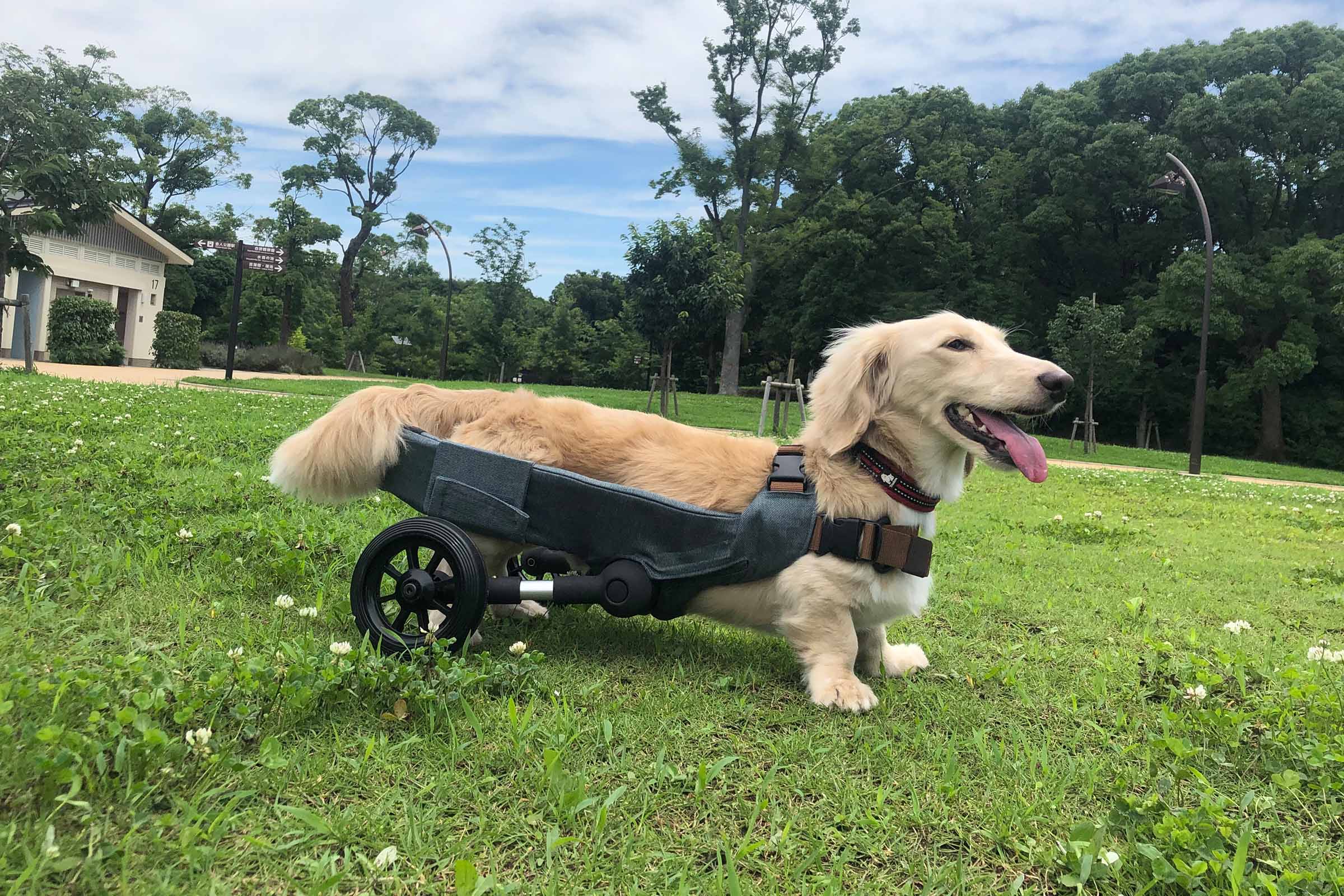 メインビジュアル1