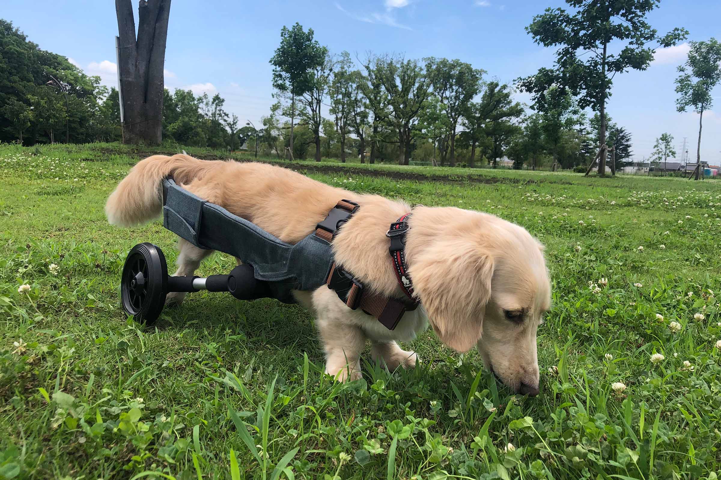 メインビジュアル3