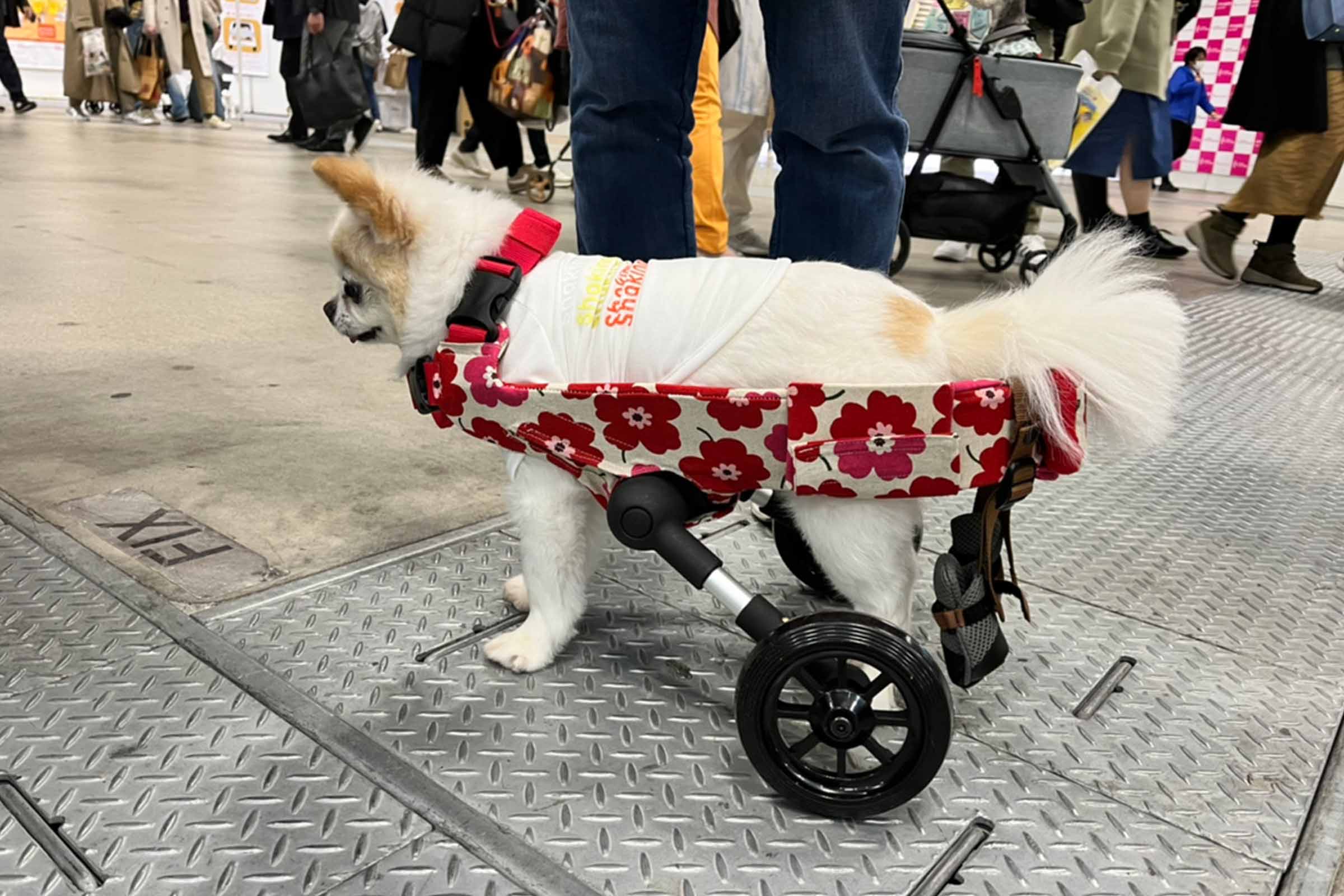 メインビジュアル4