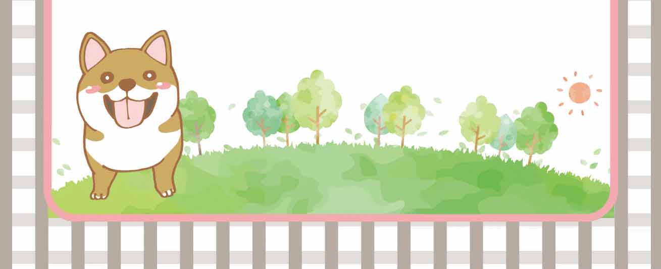 社長コメントフッター