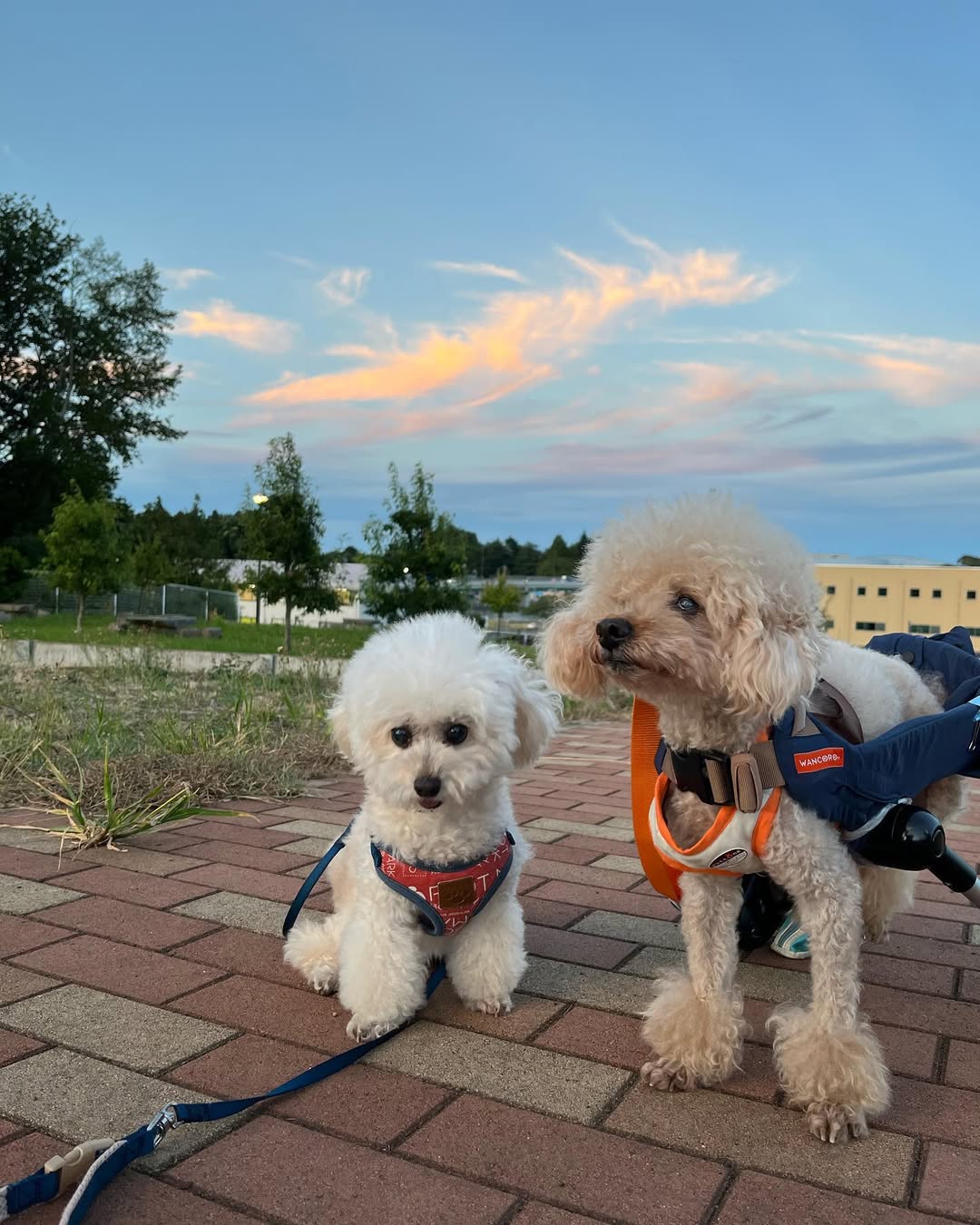 ギャラリーメイン