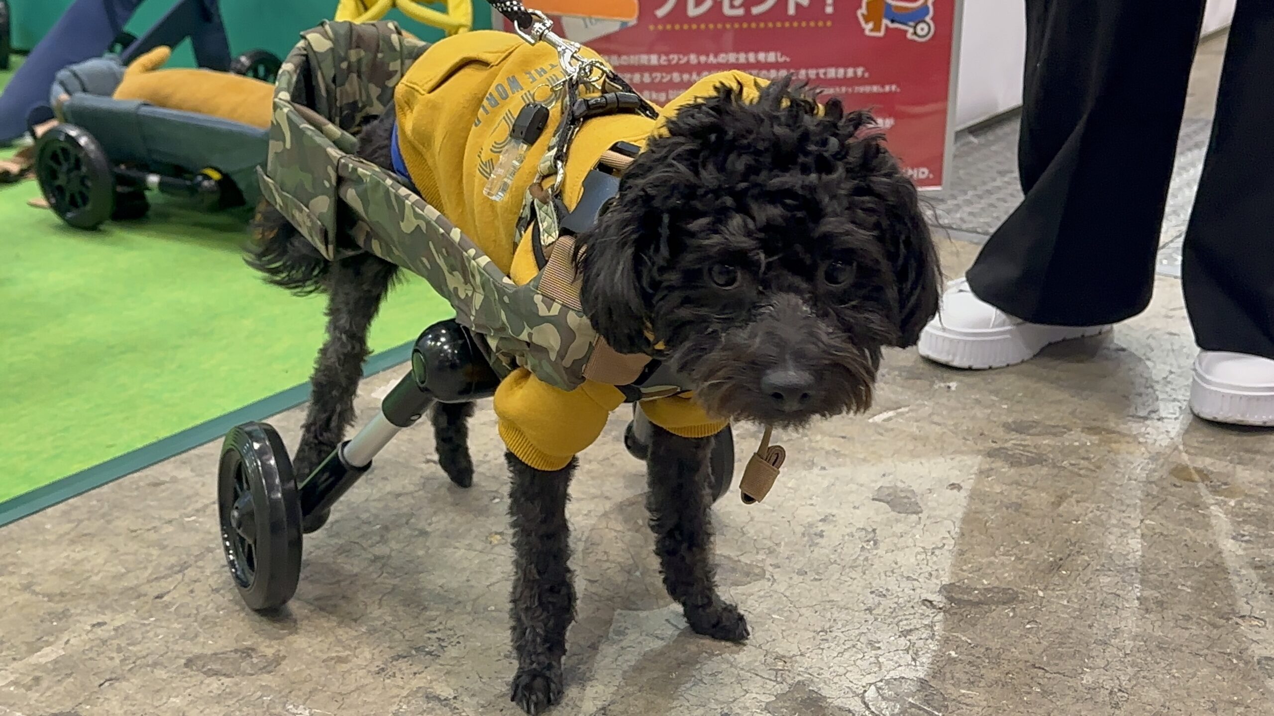 ギャラリーメイン