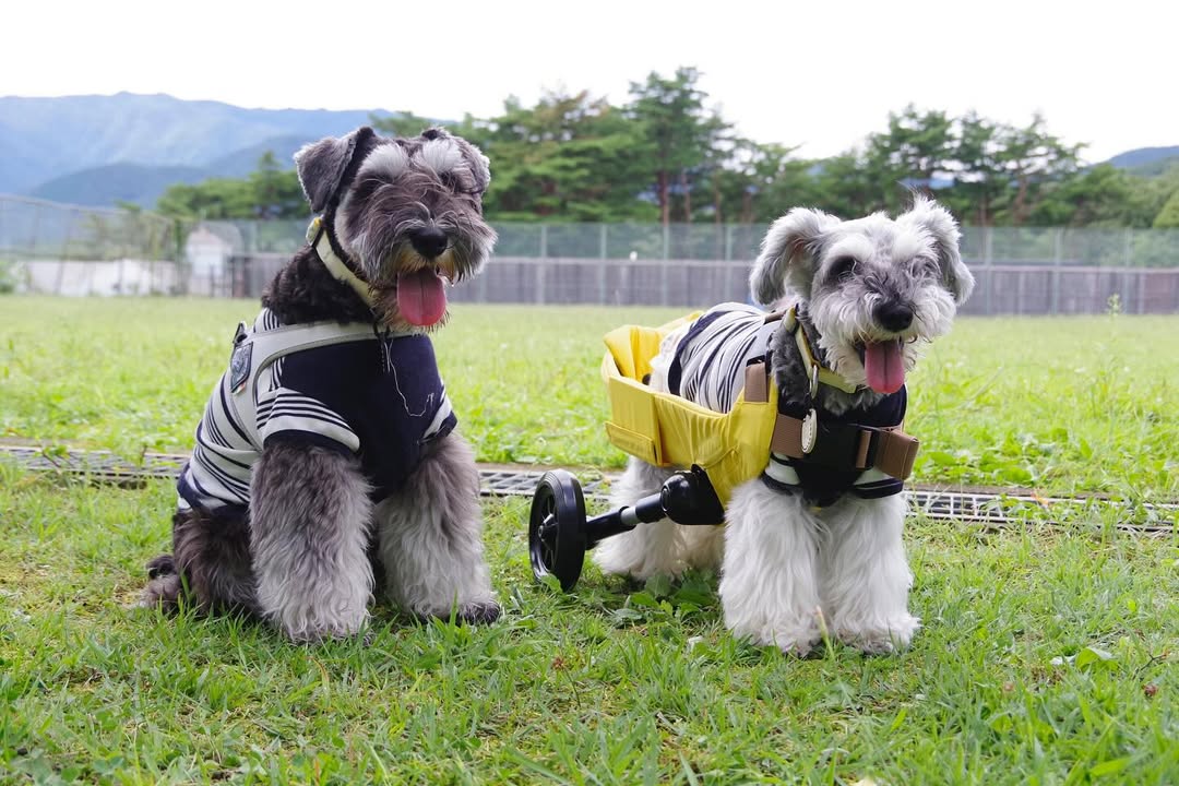 ギャラリーメイン